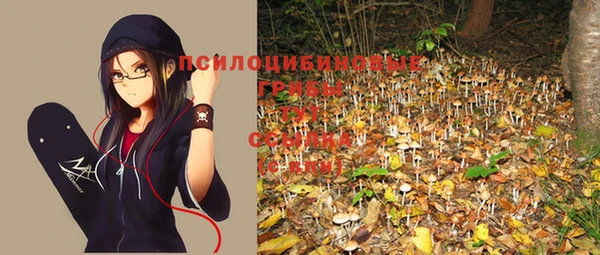 MESCALINE Алзамай