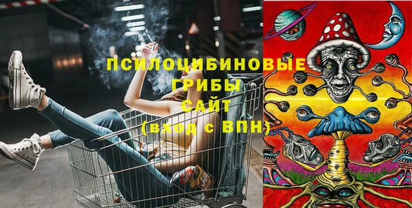 прущие грибы Армянск