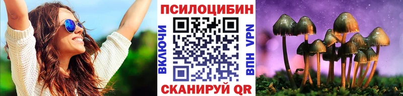 Купить закладки  Слюдянка  Псилоцибиновые грибы мухоморы 